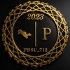 Telegram kanalining logotibi pbsu_uz — PBSU UZB🥇🇺🇿V.I.P