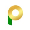 Логотип телеграм канала @pcbpi_news — PCB PI | Отчеты и новости