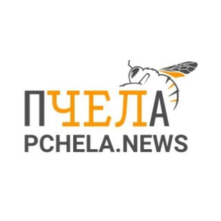 Логотип телеграм канала @pchelanews — Пчеланьюс