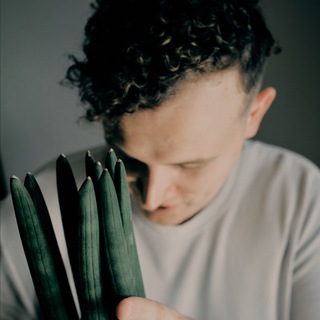 Telegram channel Пчелиный улей | Комнатные растения logo