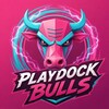 Логотип телеграм -каналу pdbulls — PlayDock Bulls