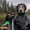 Логотип телеграм канала @peace_dea1h — ᕚ( Жребий брошен )ᕘ