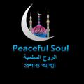 Logo saluran telegram peacefulsoul12 — Peaceful Soul