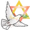 Логотип телеграм канала @peaceinside_israel — Peace inside 🇮🇱 Израиль