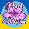 Telegram channel Peach Blossom переклад BL серіалів українською logo