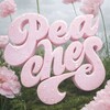 Логотип телеграм канала @peachesvlg — Персики — Peaches
