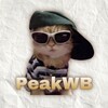 Логотип телеграм канала @peakwbshmot — PeakWB | Шмот с ВБ