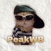 Telegram channel PeakWB | Шмот с ВБ logo