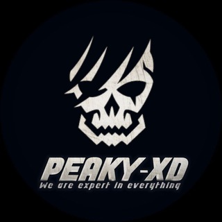Логотип телеграм канала @peaky_xd — Team Peaky-XD