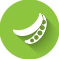 Logo saluran telegram peaonline — Pea shop(سفارش از ترکیه)
