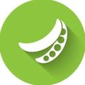 لوگوی کانال تلگرام peaonline — Pea shop(سفارش از ترکیه)