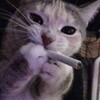 Логотип телеграм канала @pearqlq — минуты моих сожалений