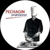 Логотип телеграм канала @pechaginprofessional — Pechagin Professional