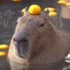 Логотип телеграм канала @pechenka134 — Pechenka134