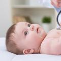 لوگوی کانال تلگرام pediatri19 — قناة الجعكي بيديا دفعة 19 الزاوية