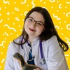 Логотип телеграм канала @pediatrutesheva — Педиатр Утешева Дарья: блог о детском здоровье