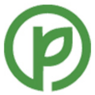 Логотип телеграм канала @pedsovetorg — Педсовет.org