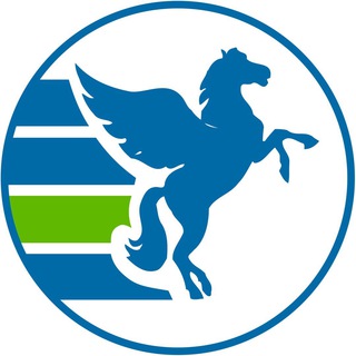 Логотип телеграм канала @pegas_samara — Pegas Samara