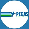 Логотип телеграм канала @pegas24kvant — Pegas Touristik💙