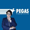 Логотип телеграм канала @pegas_tyumen2 — Турагентство Pegas Touristik