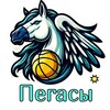 Логотип телеграм канала @pegasbelorr — БК "Пегасы Белоры"