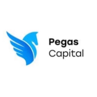 Логотип телеграм канала @pegascapitalnews — Pegas Capital News