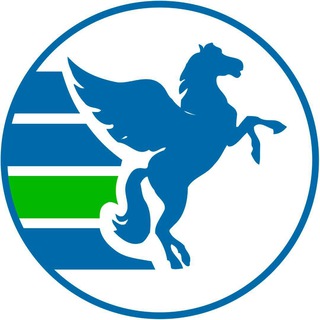 Логотип телеграм канала @pegaschita — Pegas Touristik - турагентство, Чита