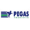 Логотип телеграм канала @pegasru — PEGAS Touristik