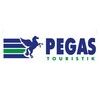 Логотип телеграм канала @pegasru — Пегас Туристик