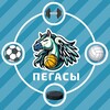 Логотип телеграм канала @pegassportclub5stars — Спортивный Клуб «Пегасы»