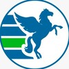 Логотип телеграм канала @pegastdv — PEGAS Touristik DV
