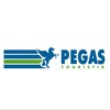 Логотип телеграм канала @pegastur38 — PEGAS Touristik Иркутск | Горящие туры