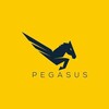 Logo of telegram channel pegasuspublik — PEGASUS | #MEDIA