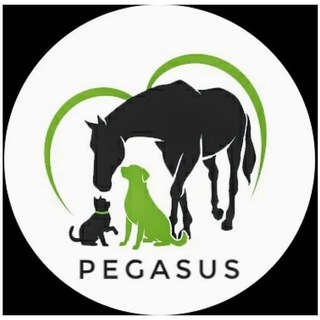 Логотип телеграм канала @pegasyss — Приют Пегас для лошадей и диких животных Днепр