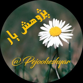 لوگوی کانال تلگرام pejooheshyar — پژوهش یار