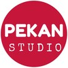 Логотип телеграм канала @pekan_studio — Pekan.studio | свитер Уизли | ГарриПоттер