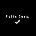 Logo saluran telegram peliscorp — Pelis Corp