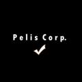 Telegram channel Pelis Corp logo