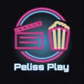 የቴሌግራም ቻናል አርማ pelissplay12 — PelissPlay (Peliculas) (Nuevo Respaldo)