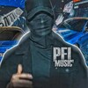 Logo of telegram channel pelmusic39 — Pel Music