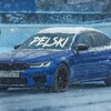 Логотип телеграм канала @pelski_pel — PELSKI❄️