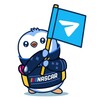 Logo of telegram channel pengunascar_meme — PENGU NASCAR