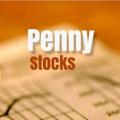 Logo saluran telegram pennystocx — PENNY STOCKS ZERO TO HERO