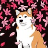Логотип телеграм канала @pensive_inu — задумчивый ину