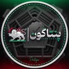 لوگوی کانال تلگرام pentagon_farsi — پنتاگون فارسی