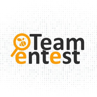 Logo saluran telegram pentest_tm — PenTest Team