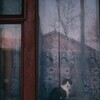 Логотип телеграм канала @peoplelivehere — здесь живут люди