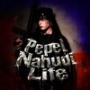 Логотип телеграм канала @pepelnahudilife — Pepel Nahudi Life