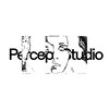 Логотип телеграм -каналу perceptstudio — (Не)експертний погляд на мистецтво