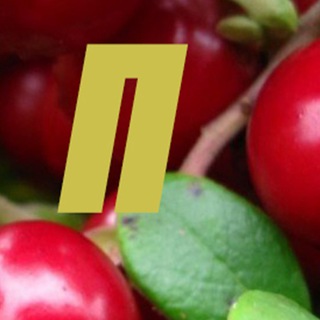 Логотип телеграм канала @perepechi_iz_klukvi — Перепечи из клюквы